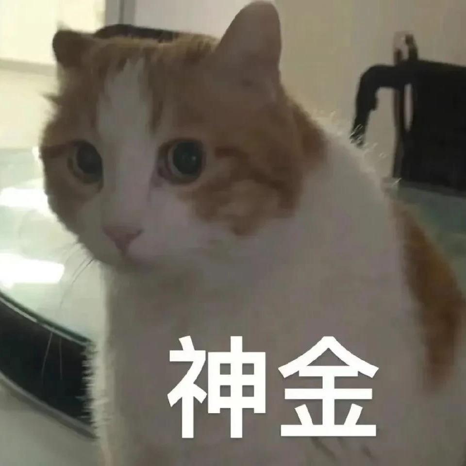 春风不语