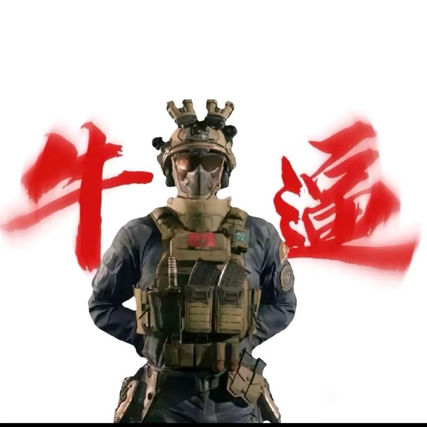 努力的护护（三角州行动手游护）