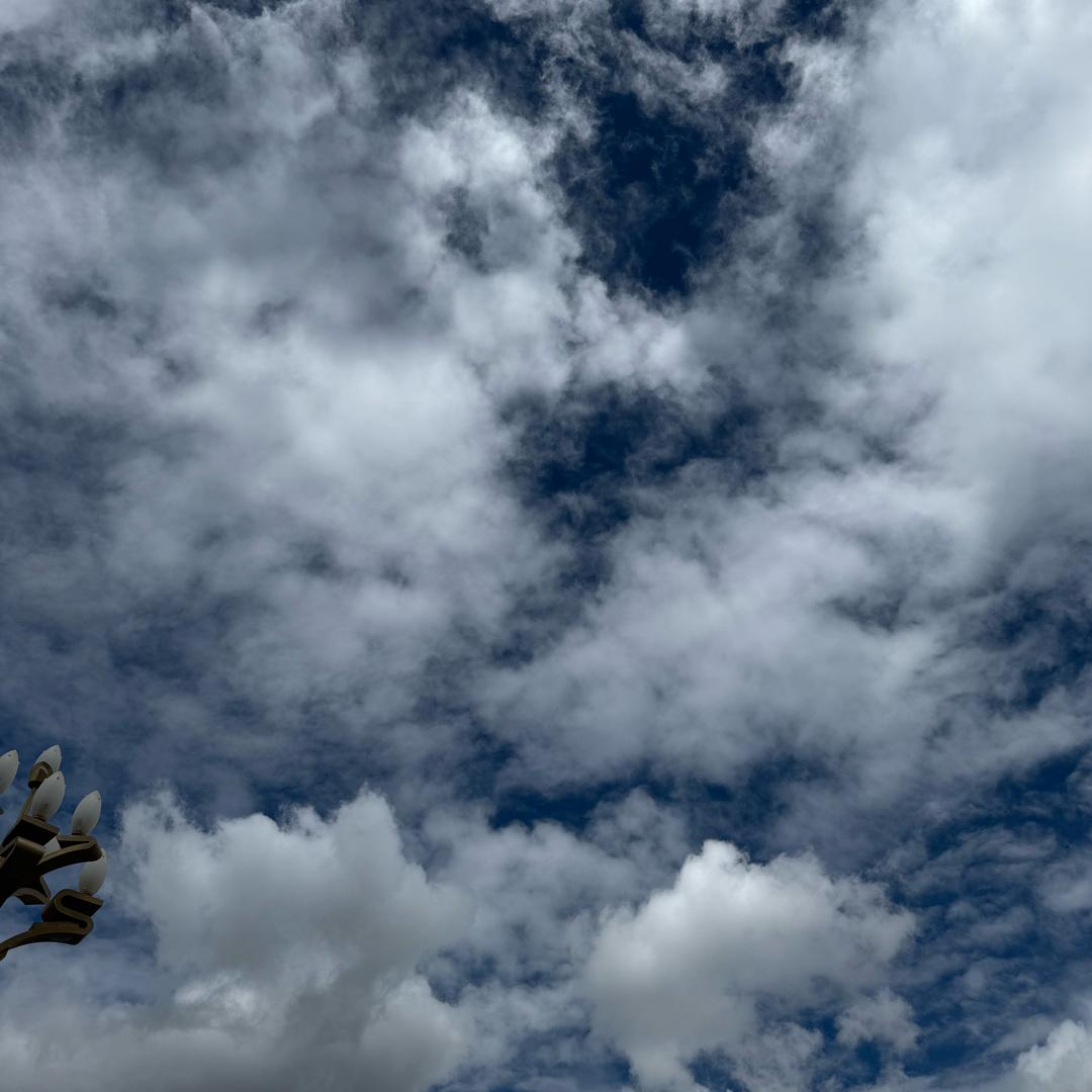 泡不耙的方面面