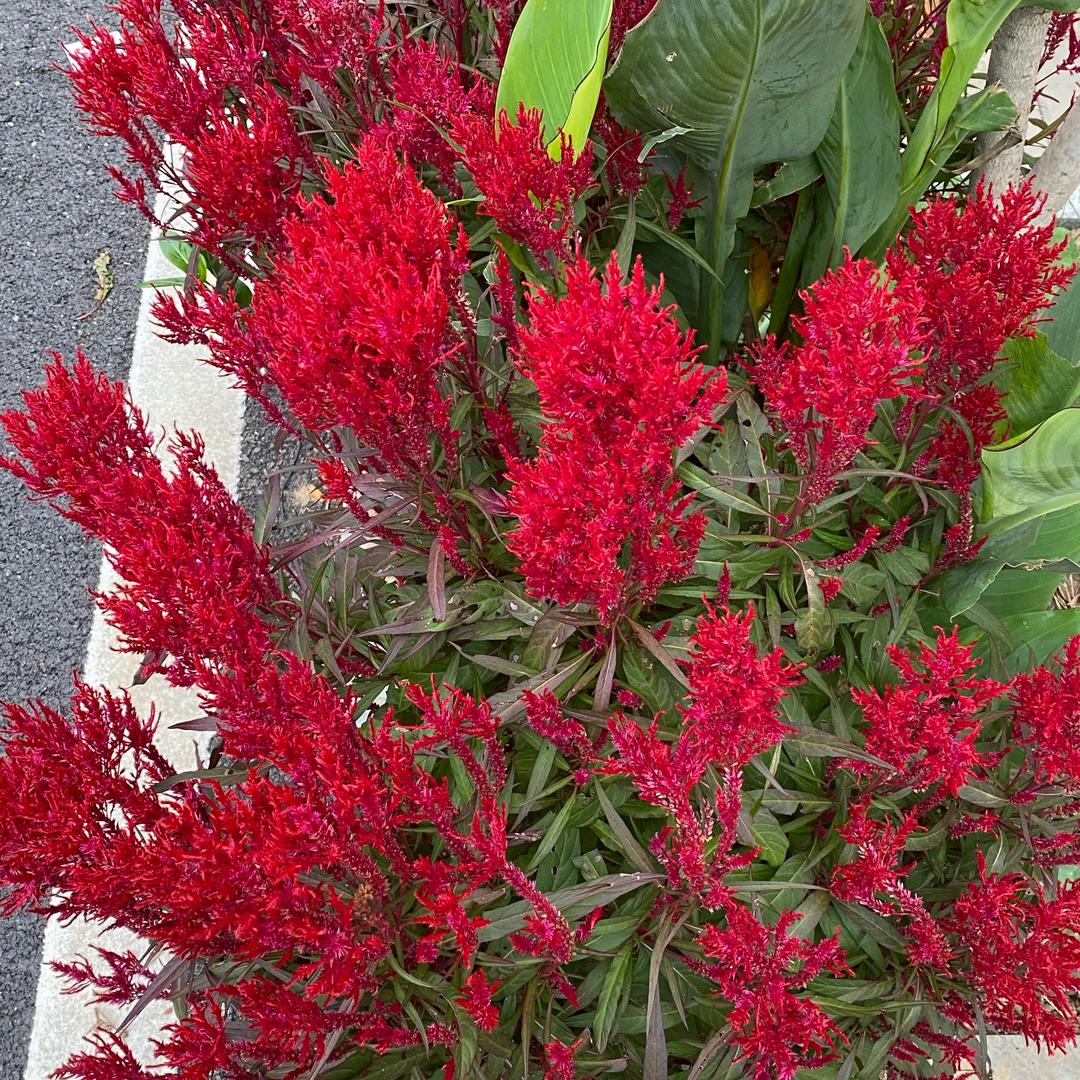 往事随缘⁶¹⁵