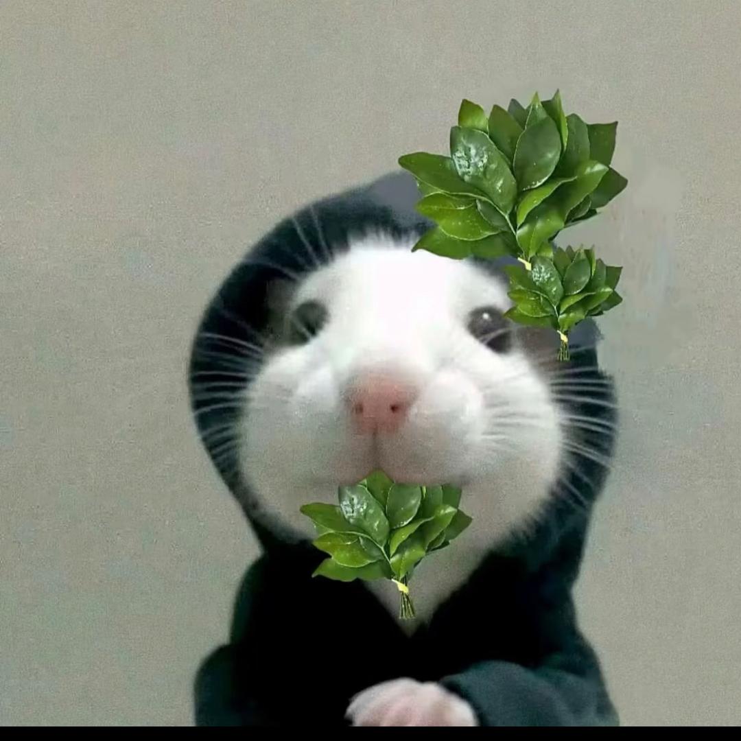 善良的农村人