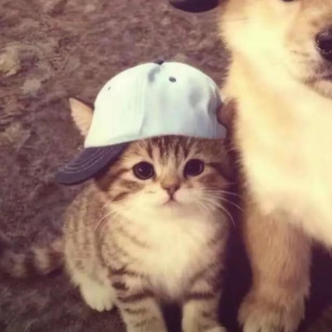 小慧饱饱๑><๑