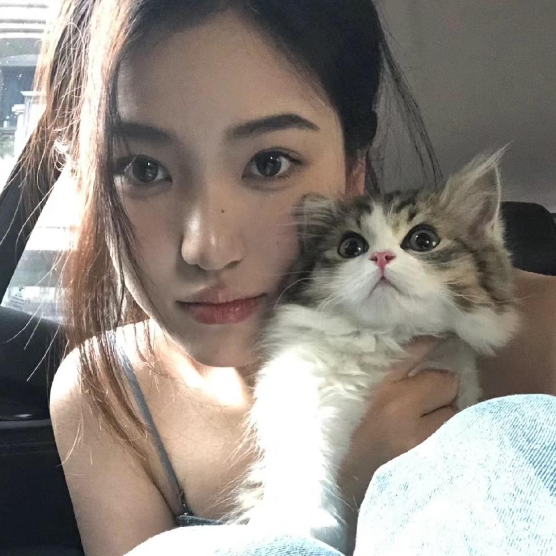 发财盈盈