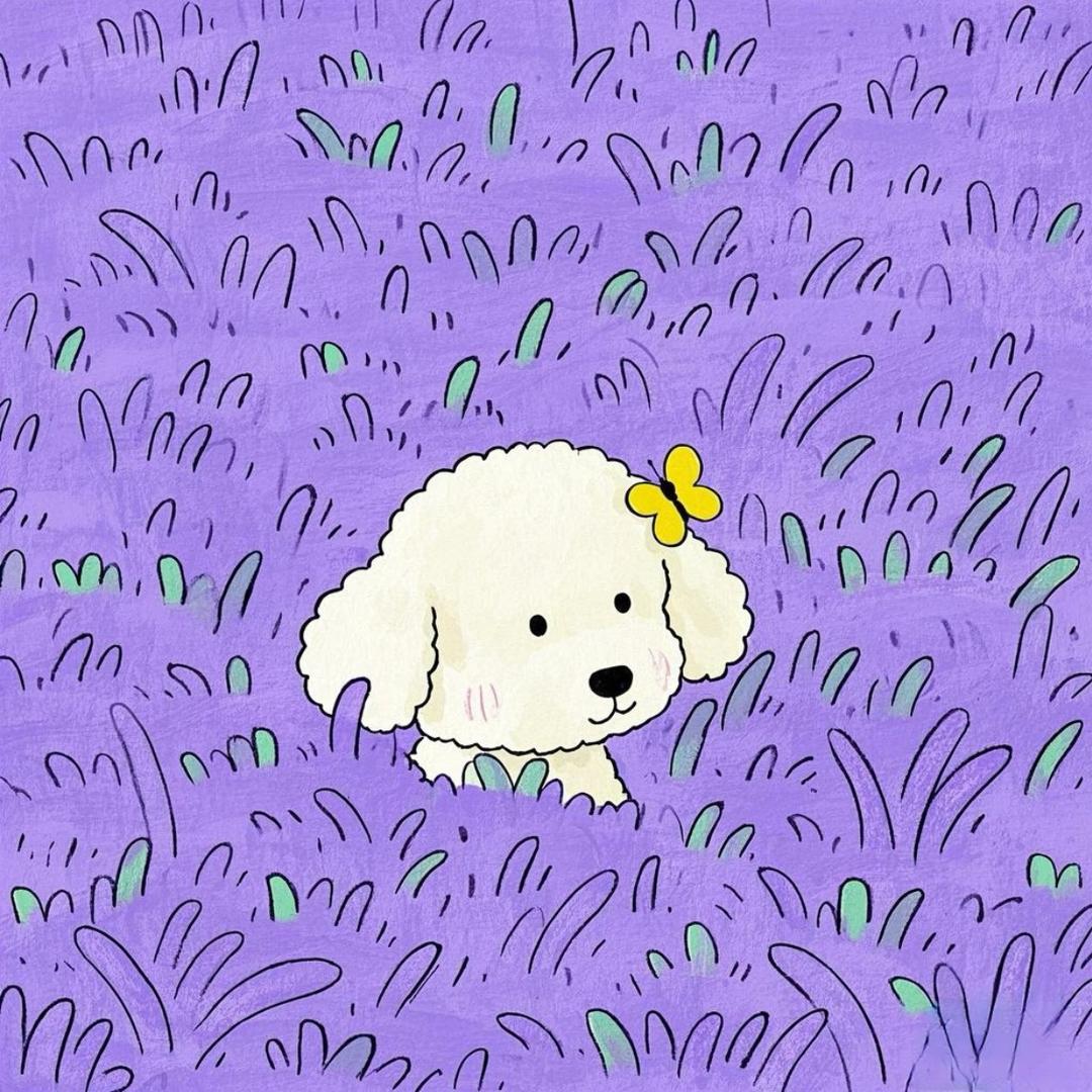 贝小果