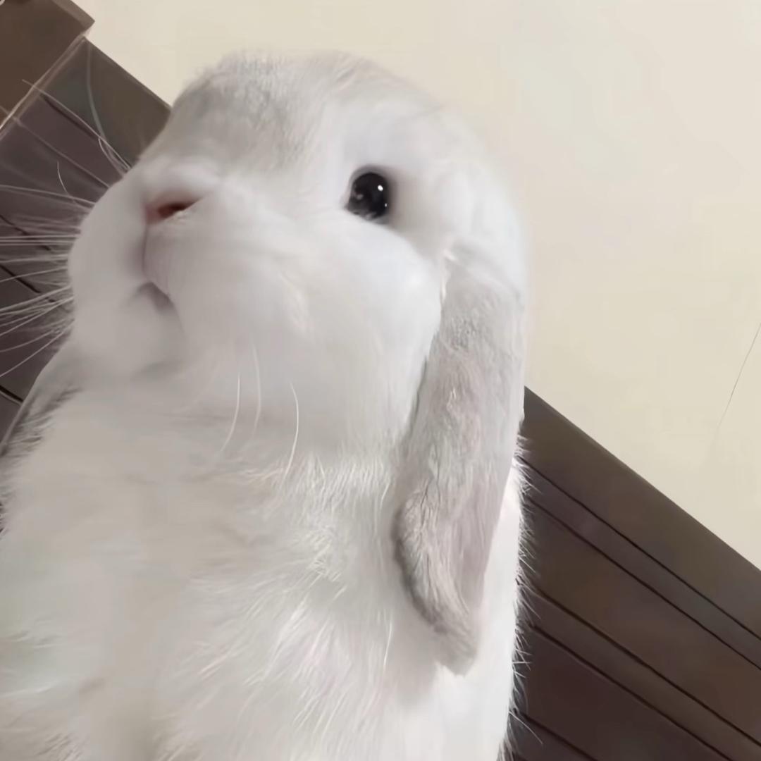 心下小雨