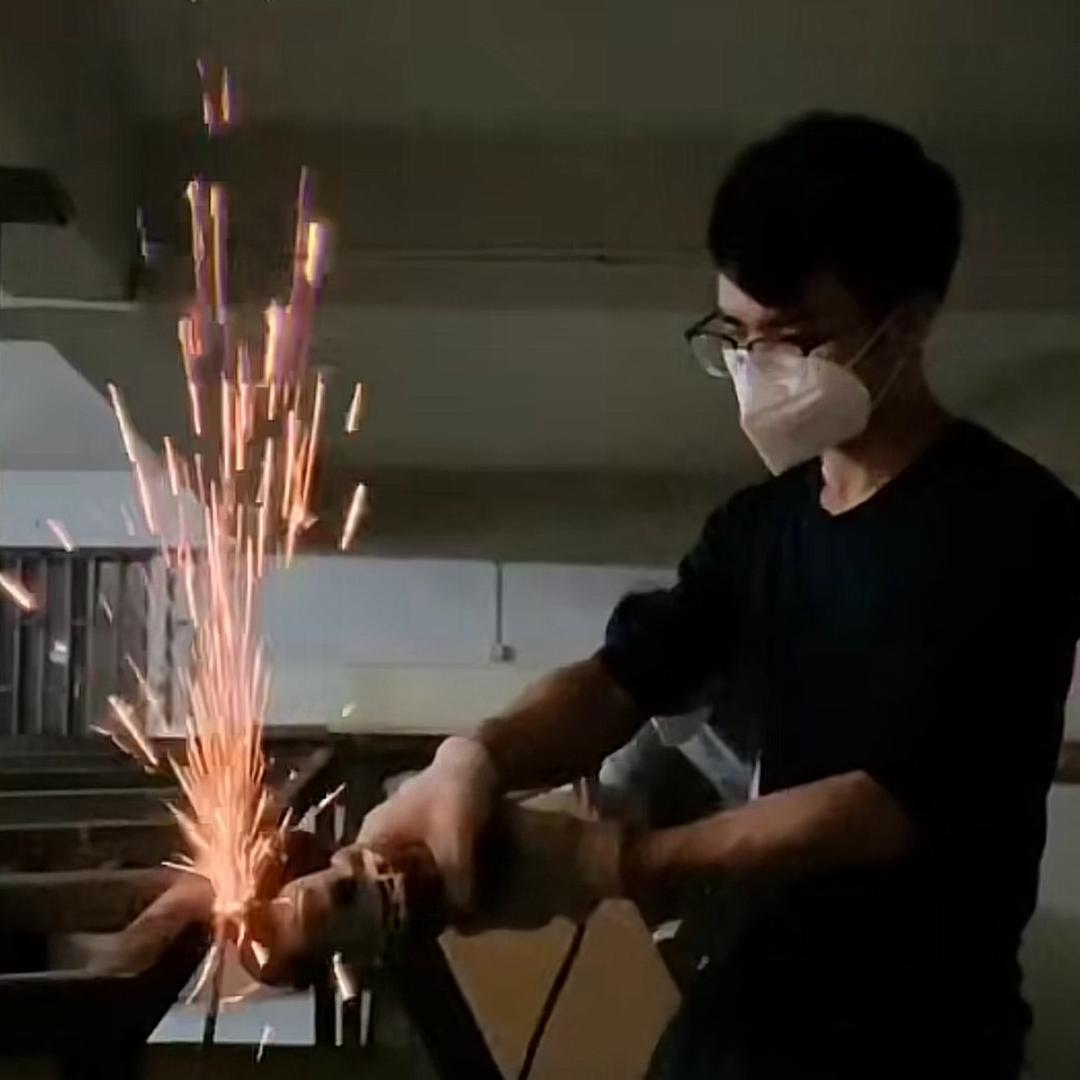 顺德bengor养龟日记
