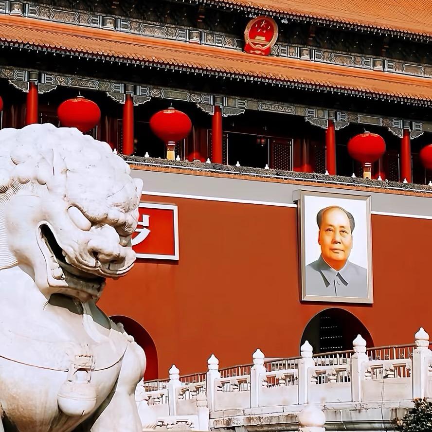 时光不语短视频