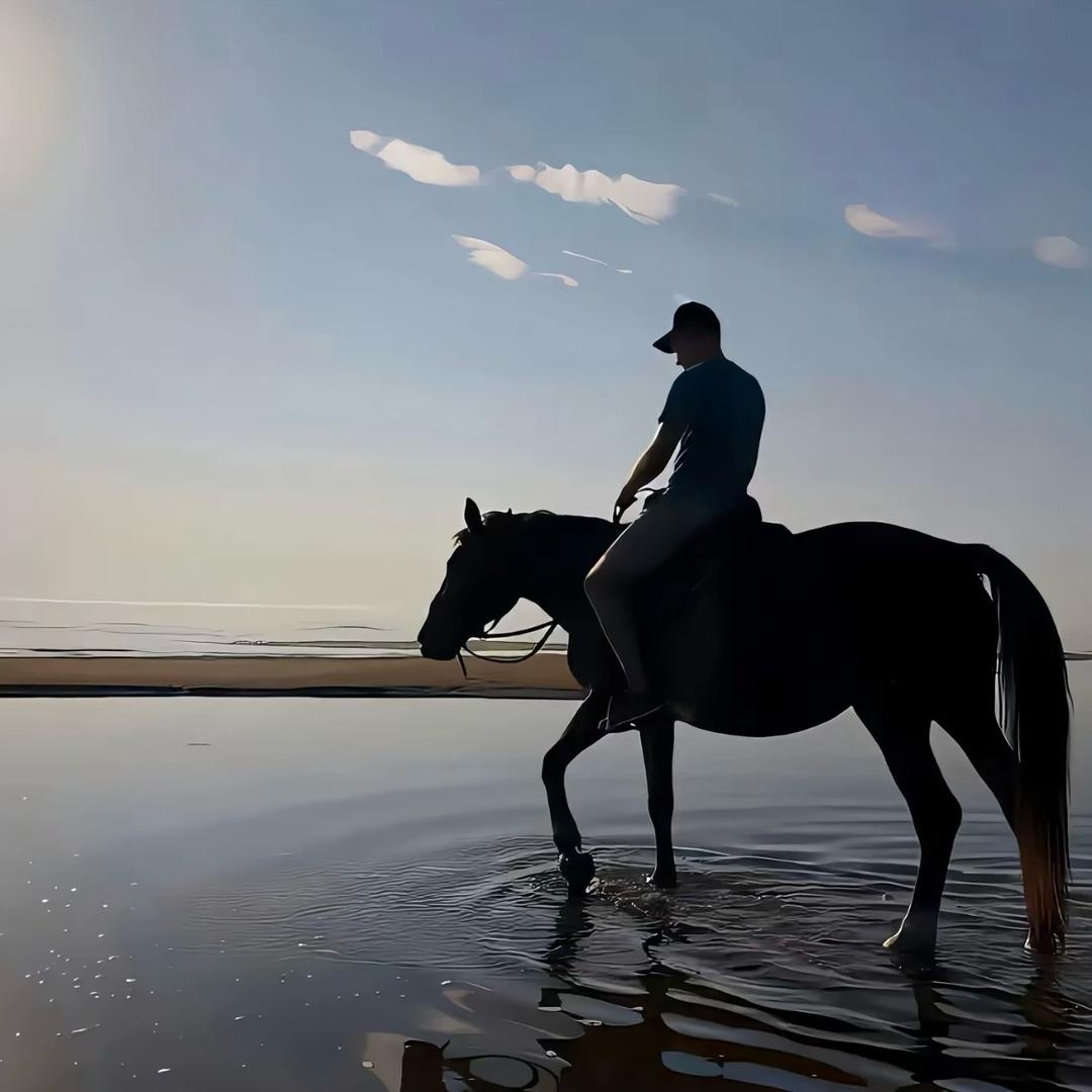 卓越🚶🏻‍♂️