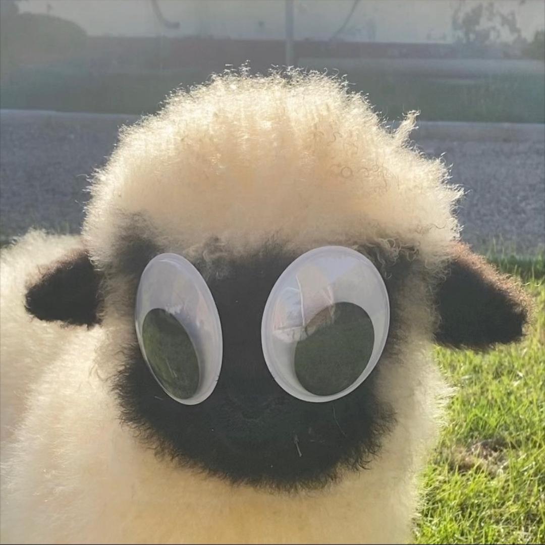 .🐑.