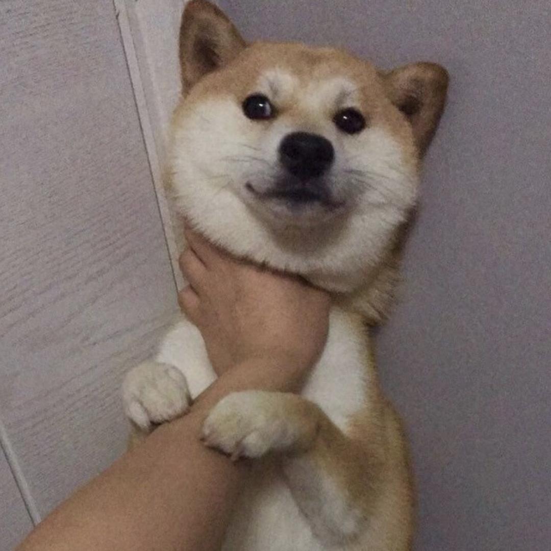 互多多