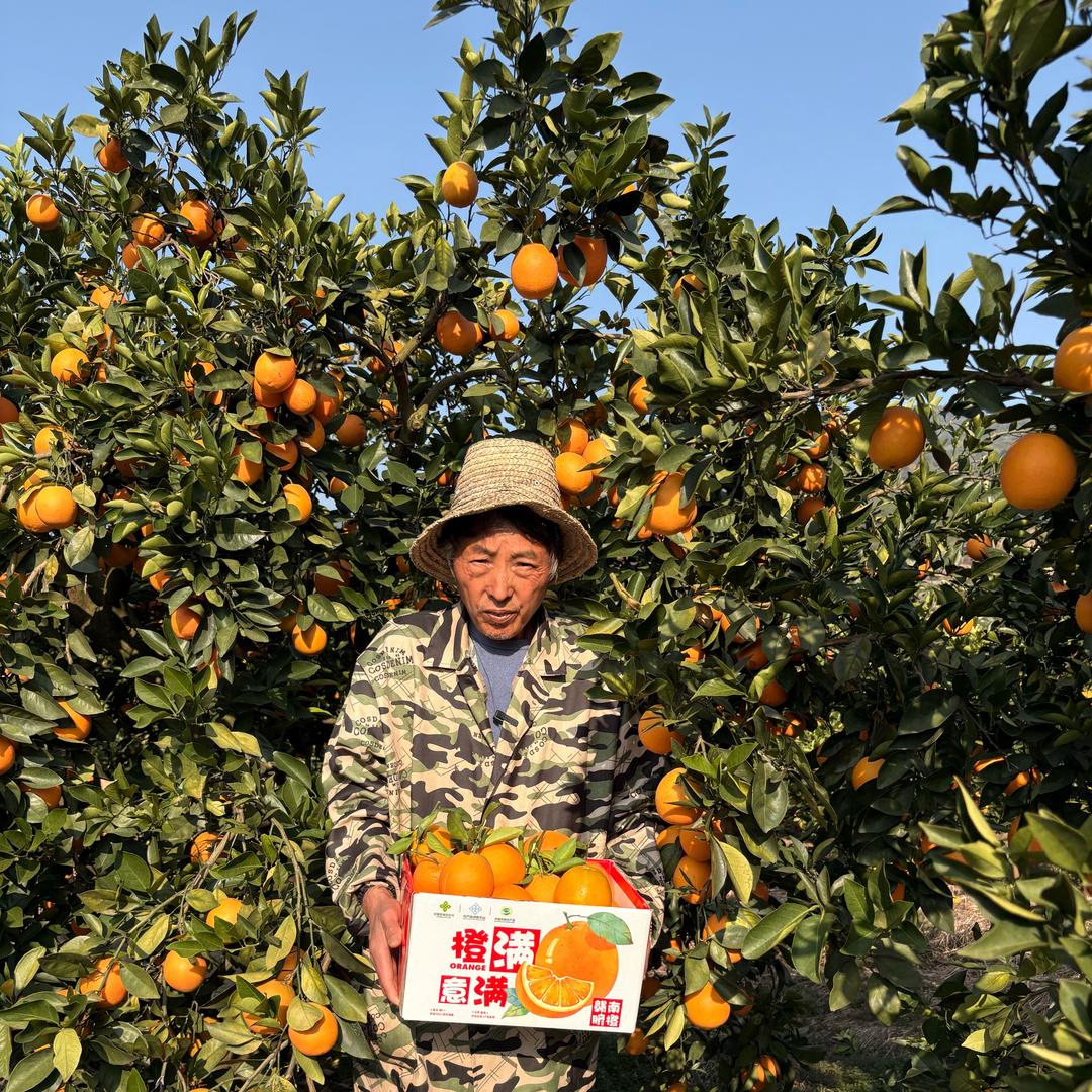 赣南脐橙（老兴果园）