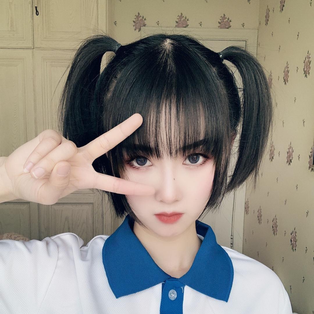 狗哥的日常