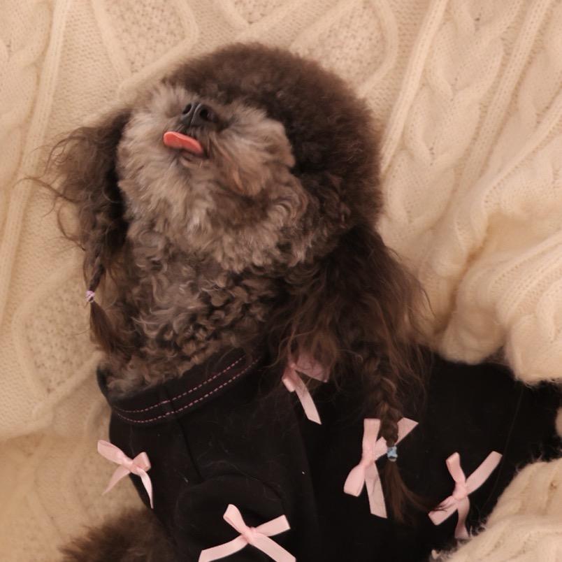 活泼开朗幸福快乐小美女