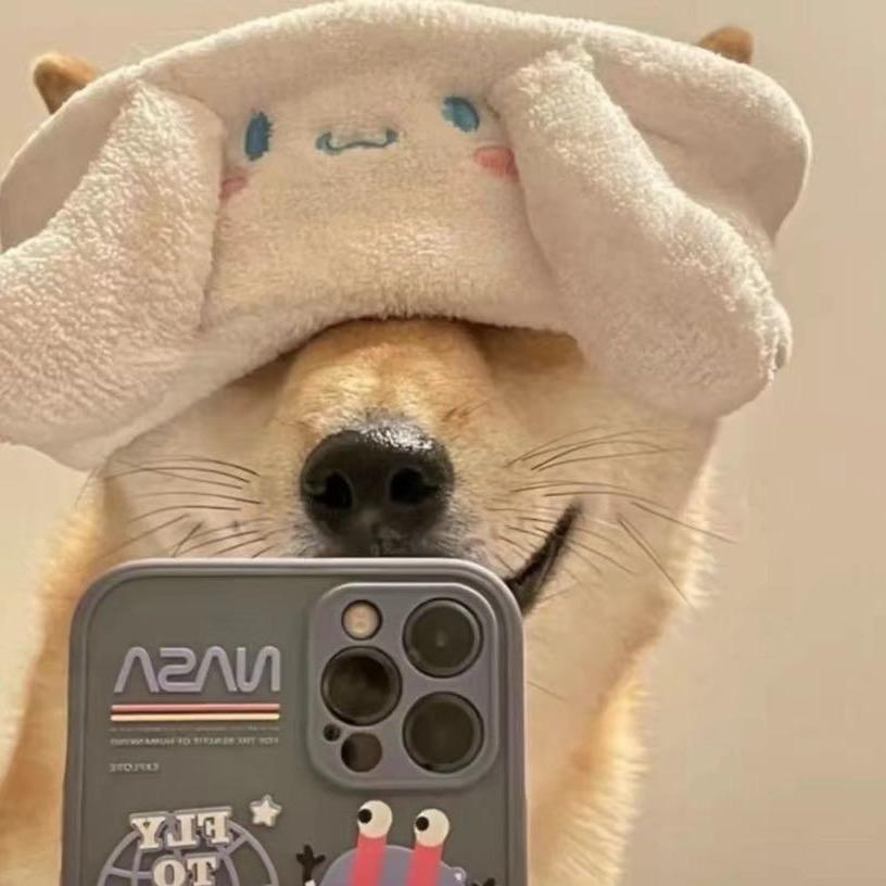 南笙.