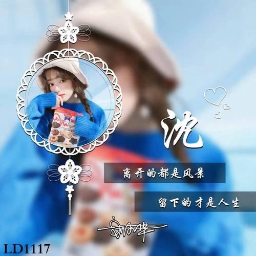 早茶月光
