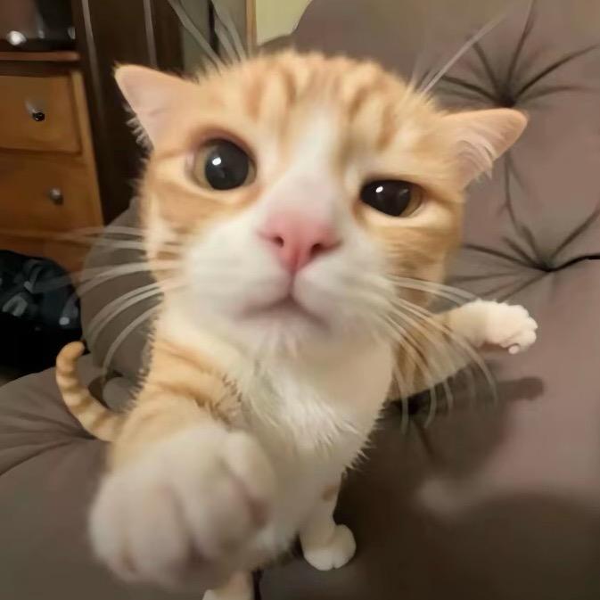 vv
