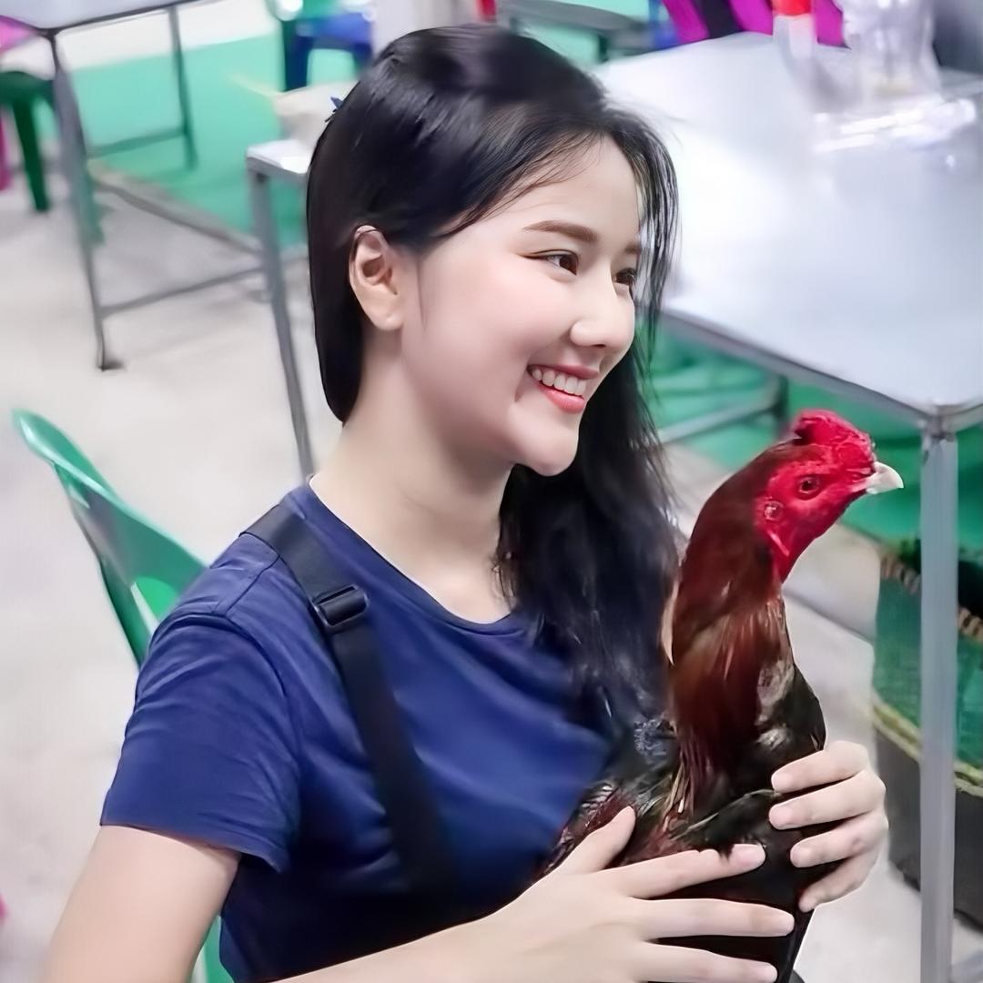 小玉_泰国斗鸡养殖农场🇹🇭