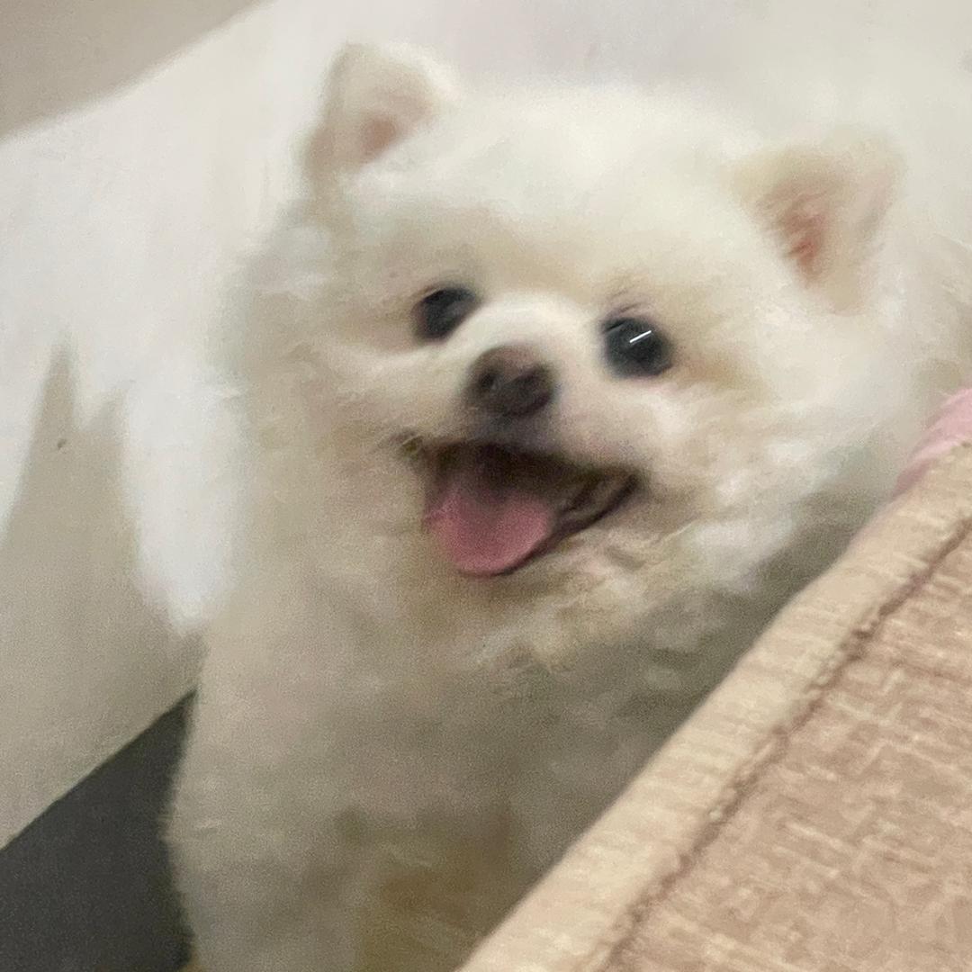 我倒要看看