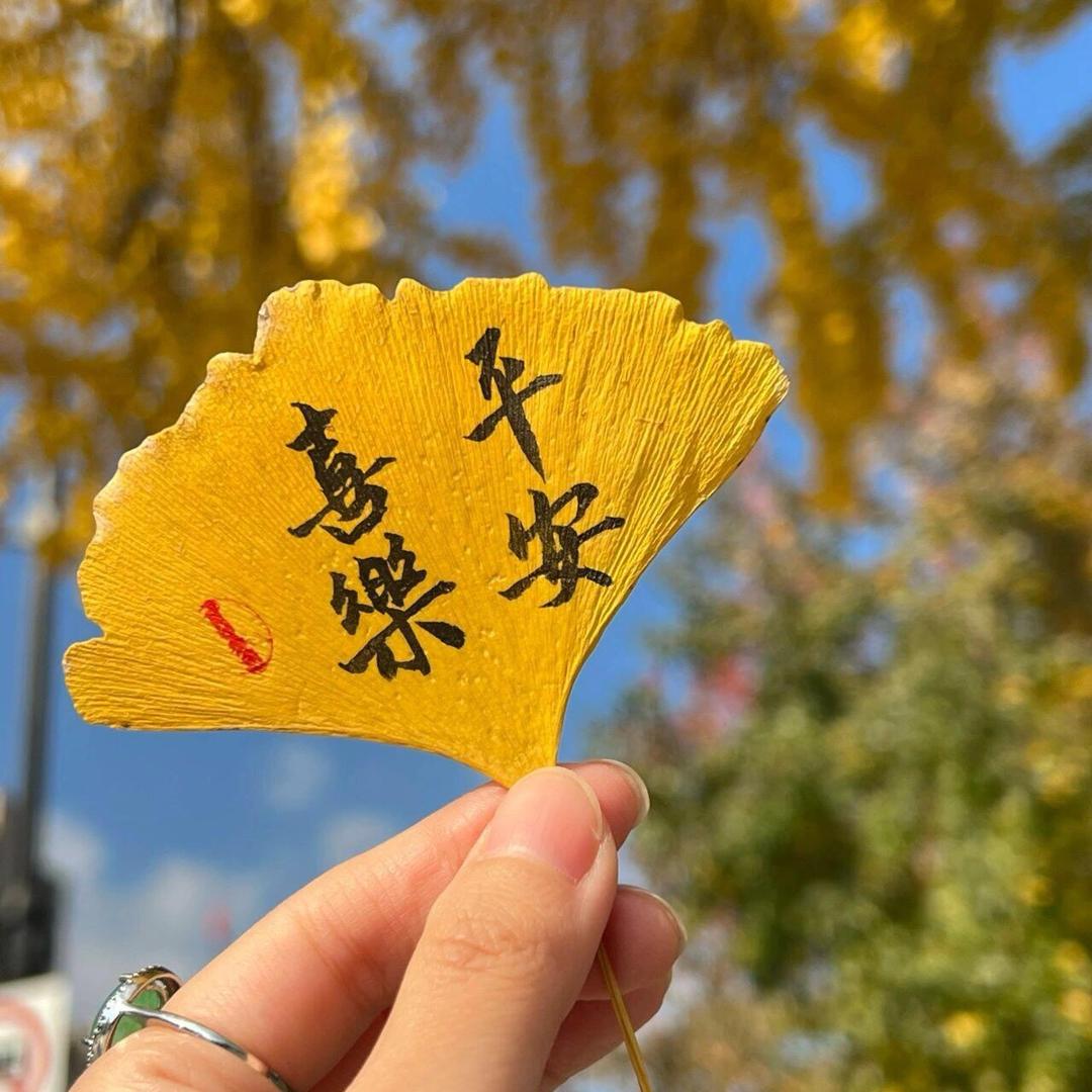 ✨🌞🍁🍁²⁰²⁵