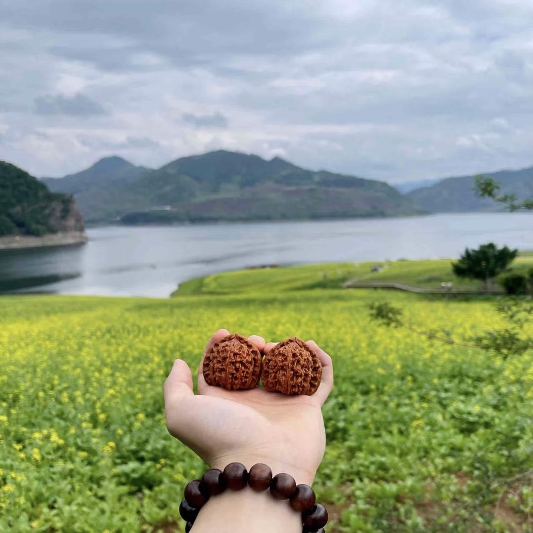 星子核桃（三角白）