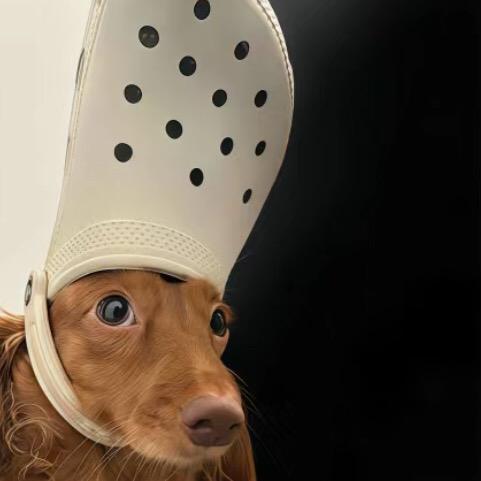 椰子