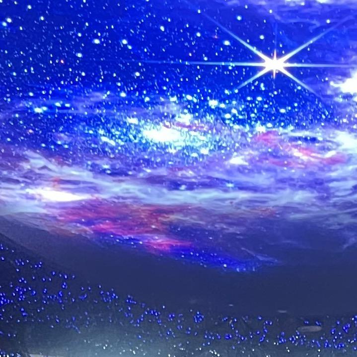 哈哈哈哈哈哈小猫咪