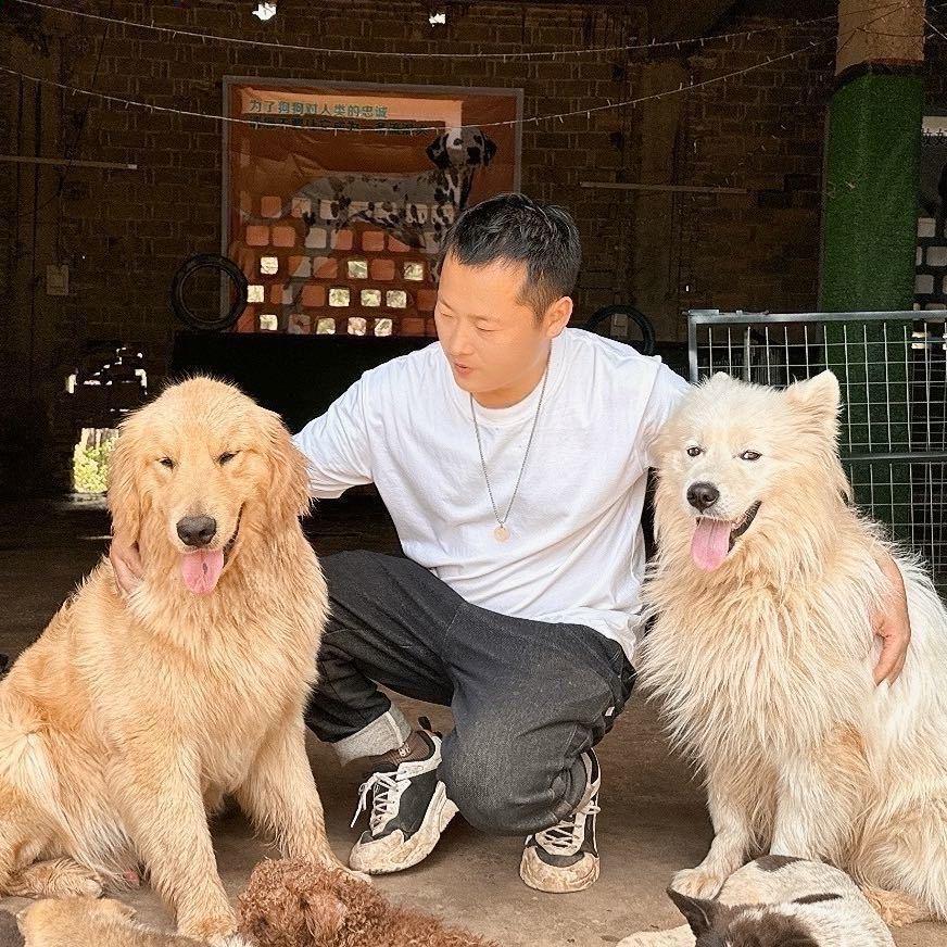 跟着杨哥救毛孩
