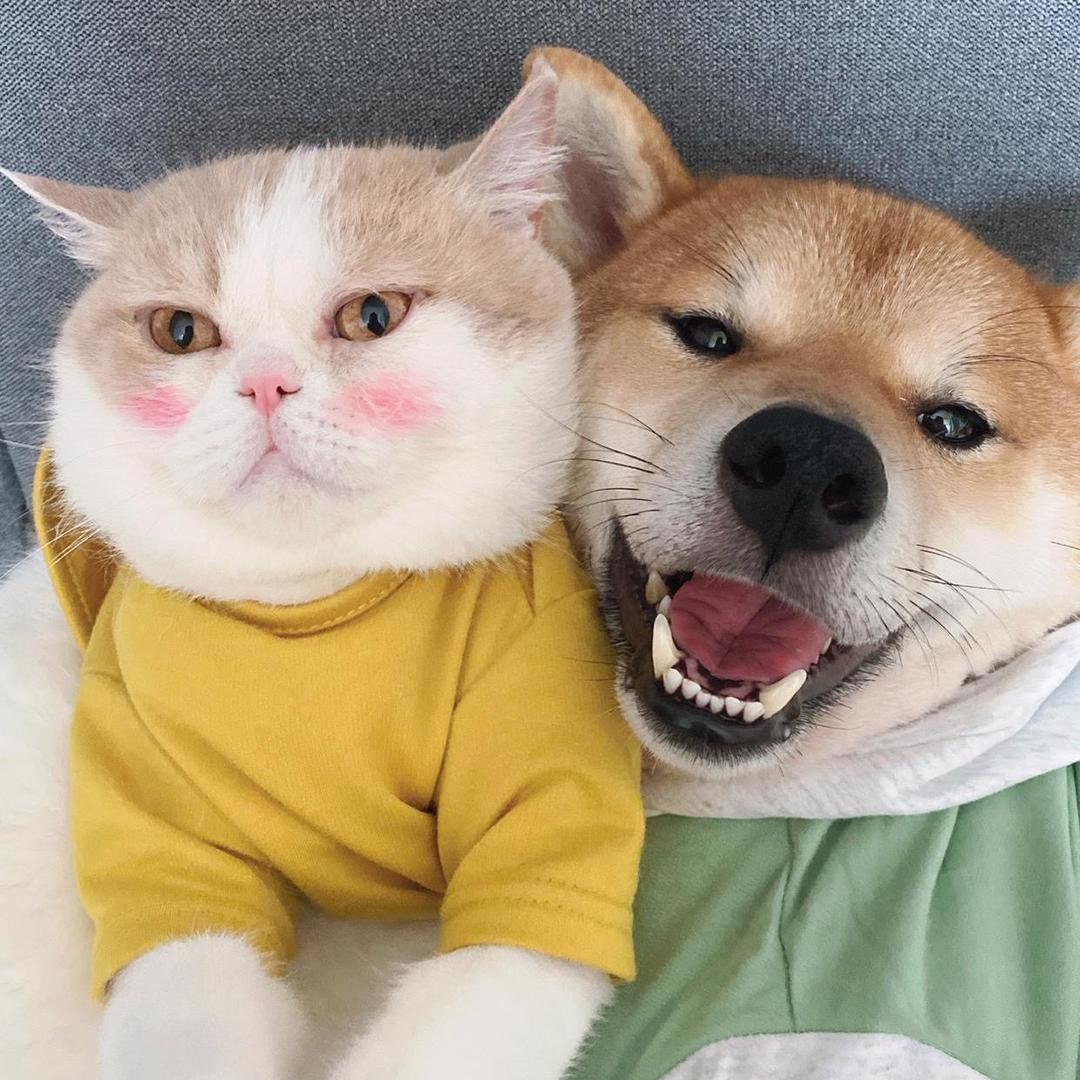 晓晓哒佐佑