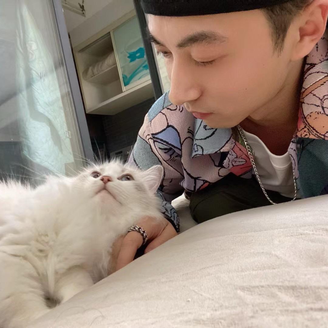 Pp的猫
