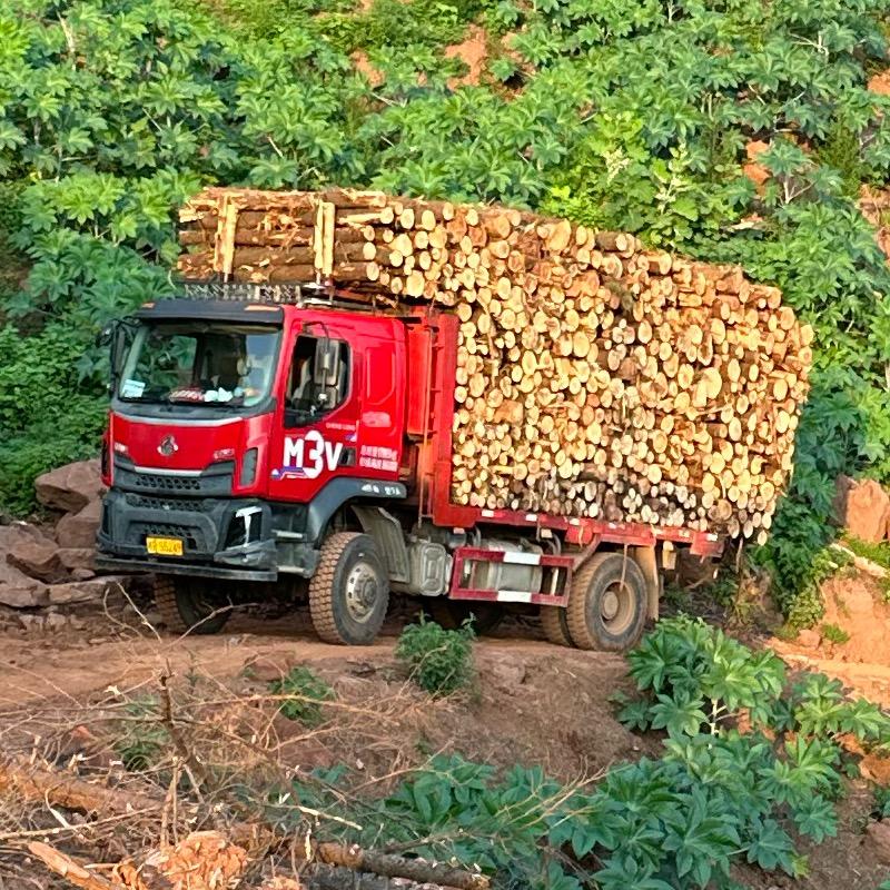 屎壳郎驾驶员