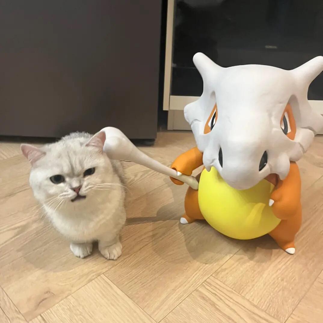 旭啊