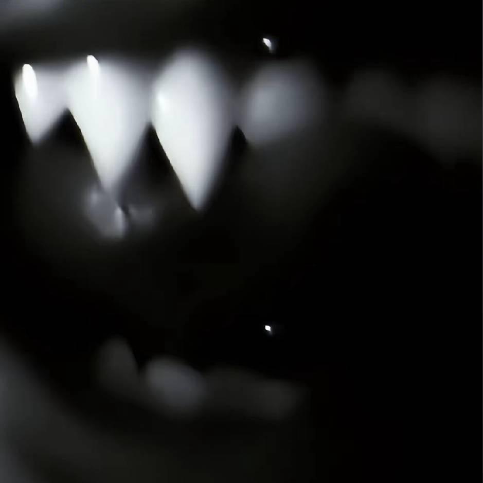 第1首选