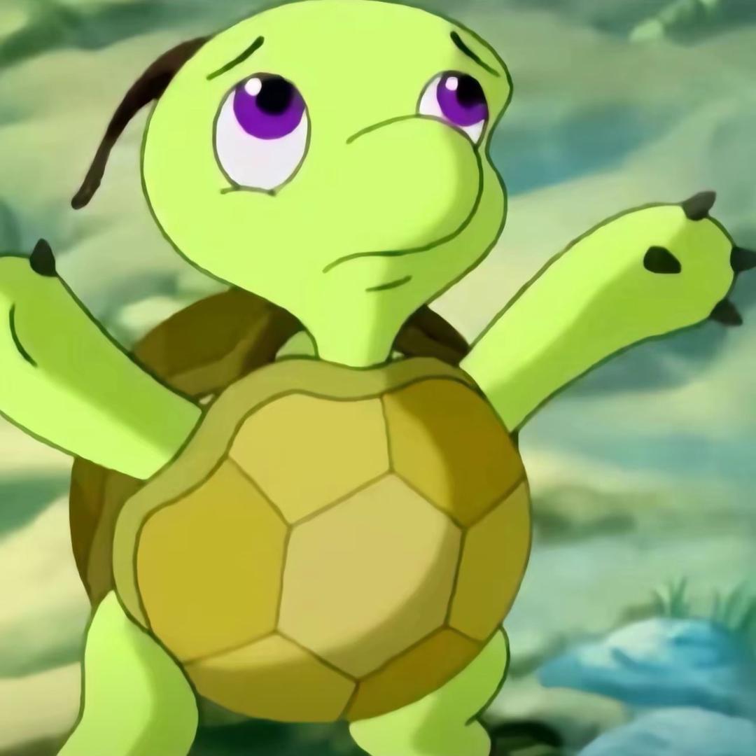 你的龟龟🐢