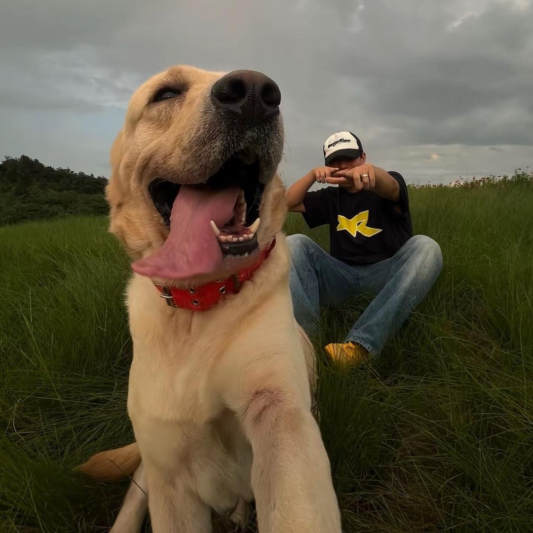 🍉爱哈哈哈哈笑