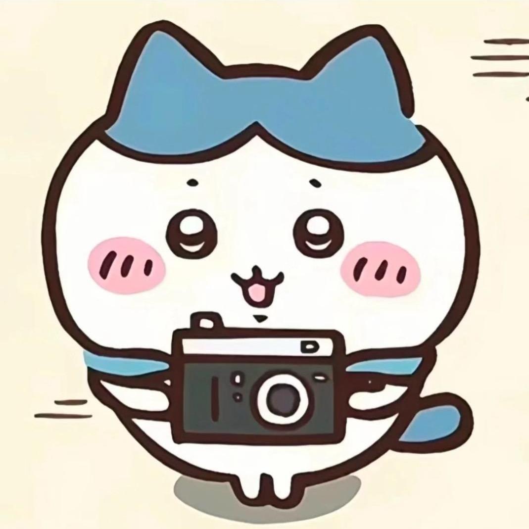 楼楼