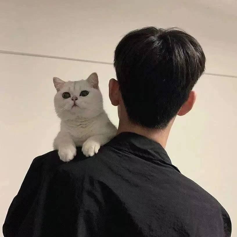 卖豆腐的张若昀.