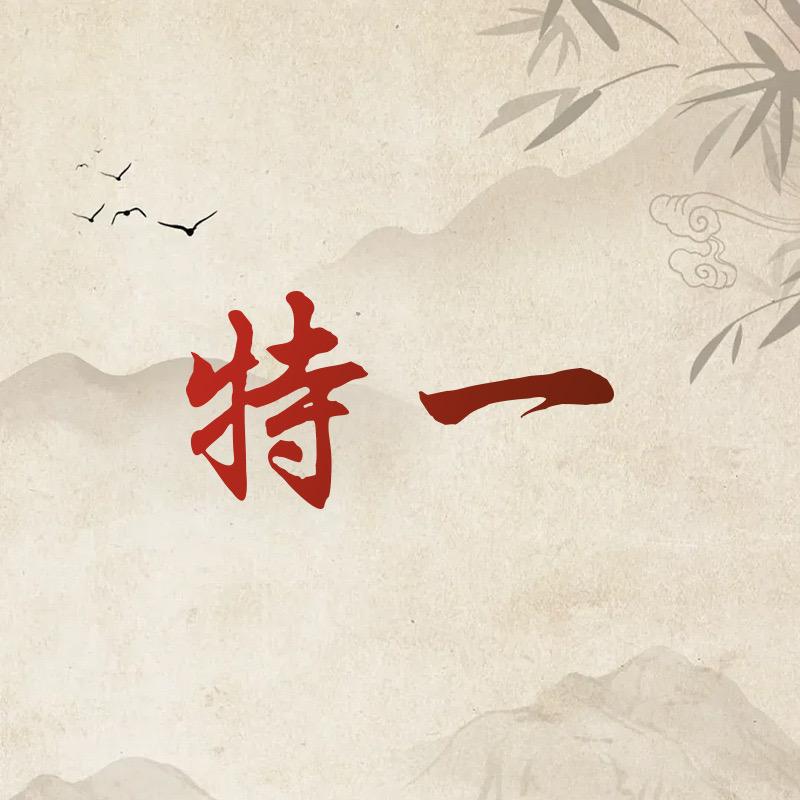 特一服务