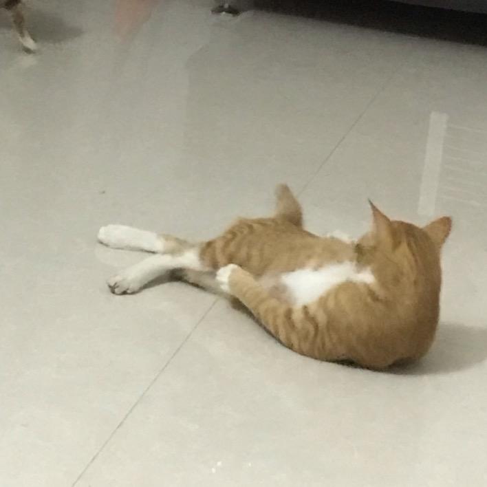 愛Lin