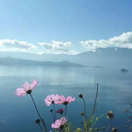 苏锦精选