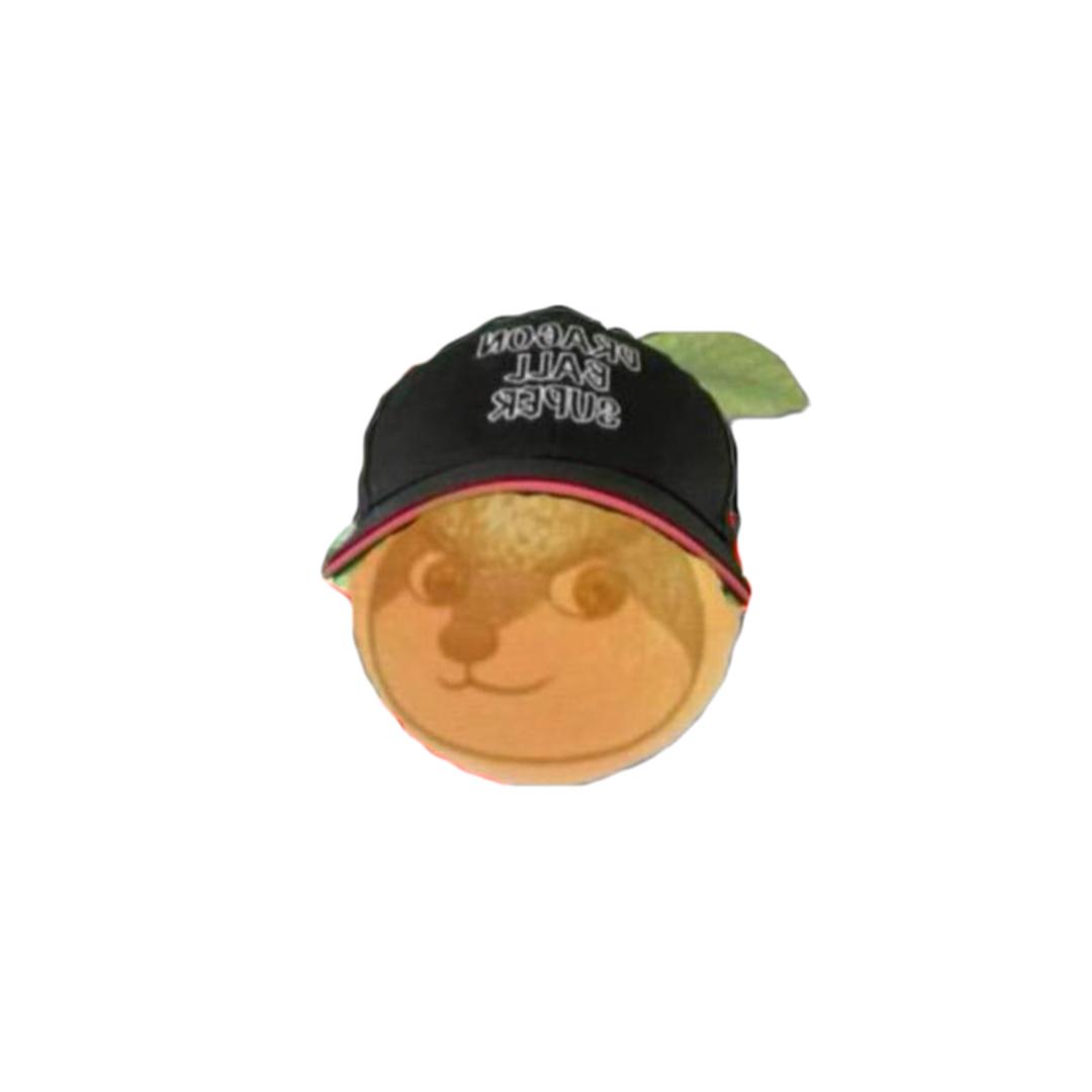 小橙子🍊日常