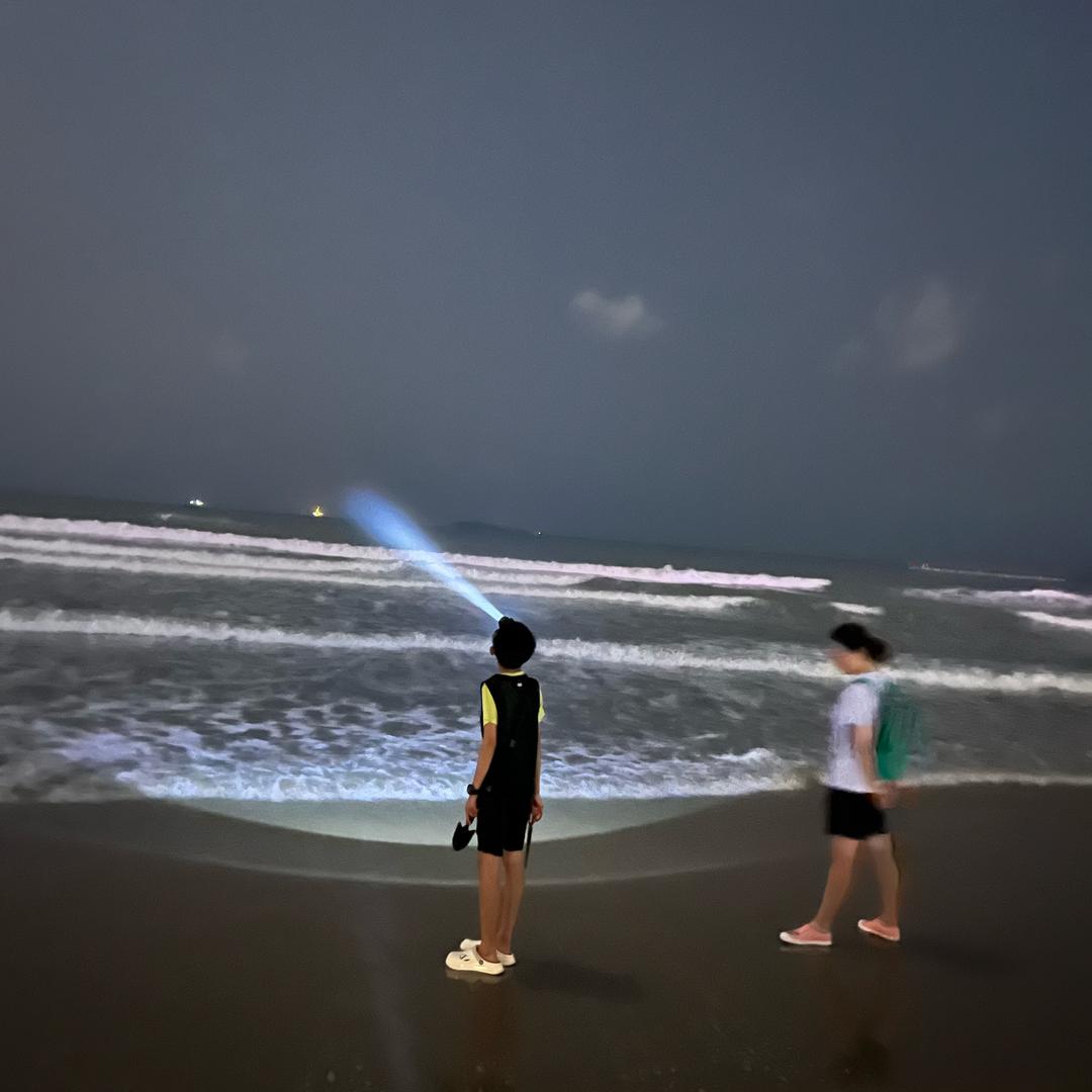 西出阳关头像