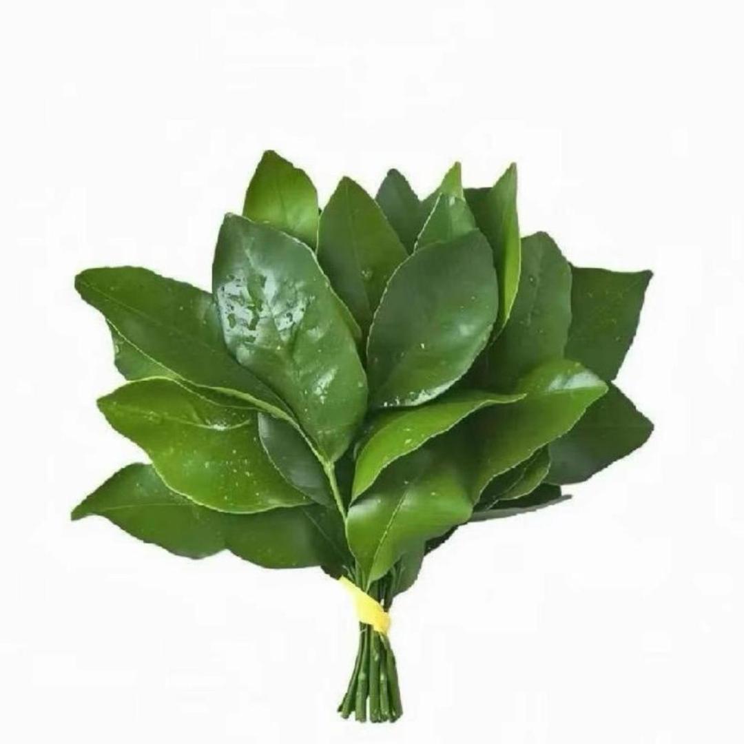 离婚后看淡了许多