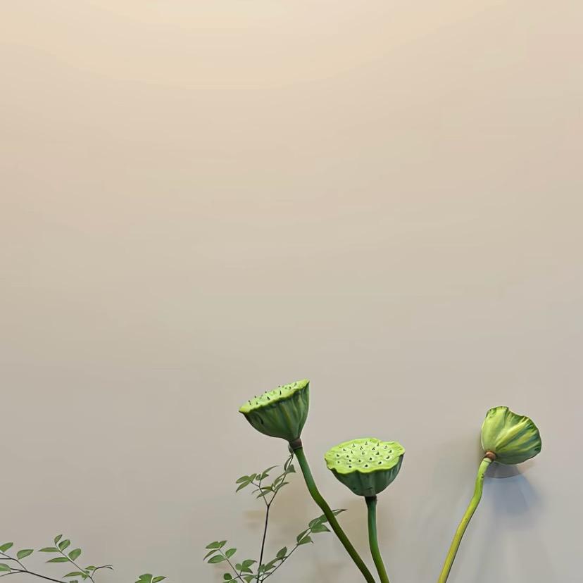 🍀清妍🍀