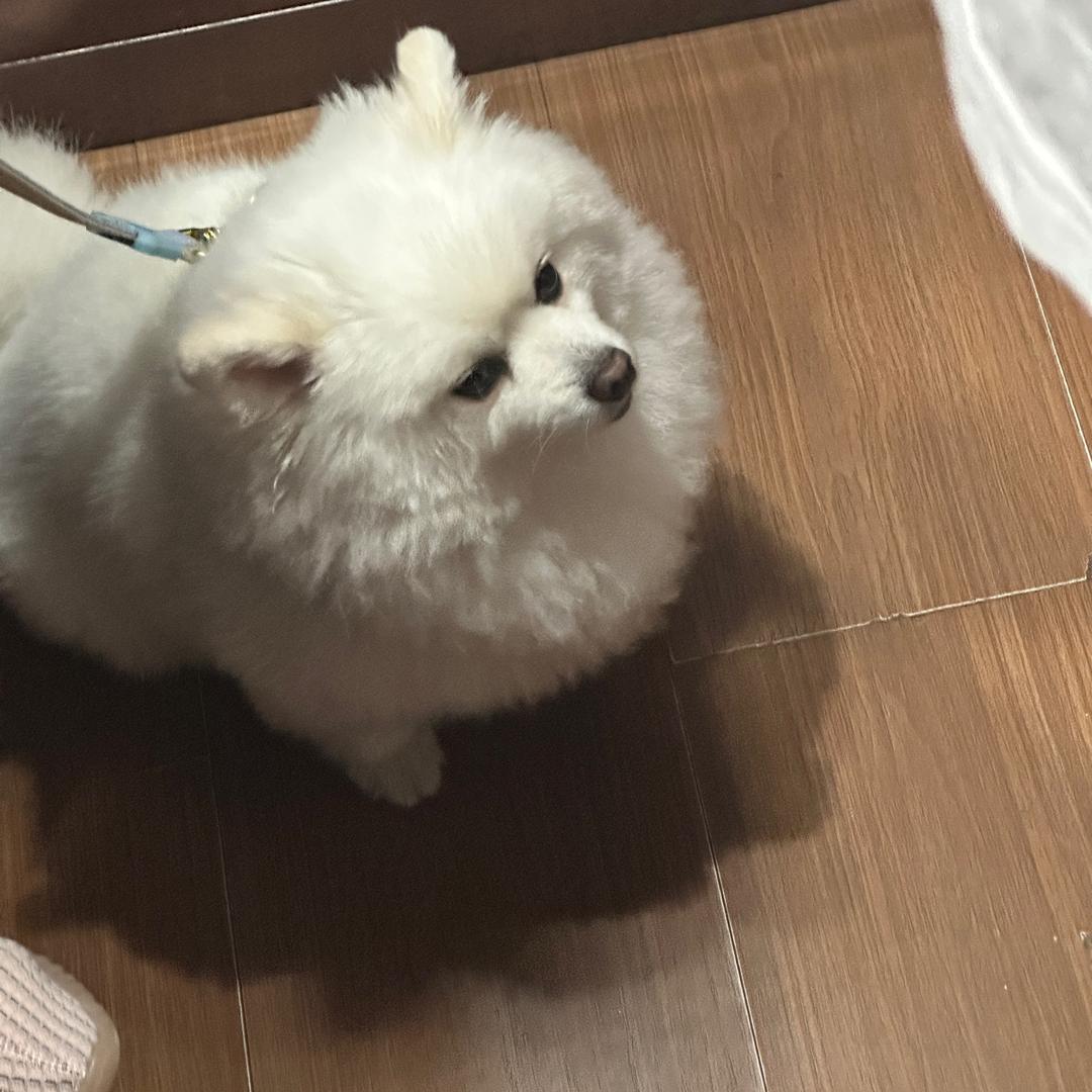 阿柳