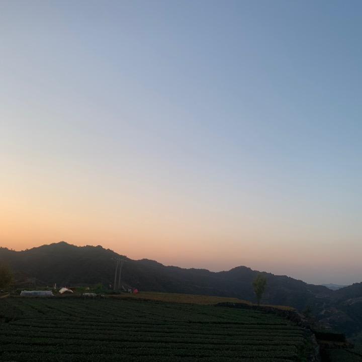 兔兔🐇优选【商品在橱窗】