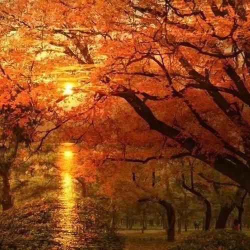 鲁日莲新农人 - - 刘啊杨