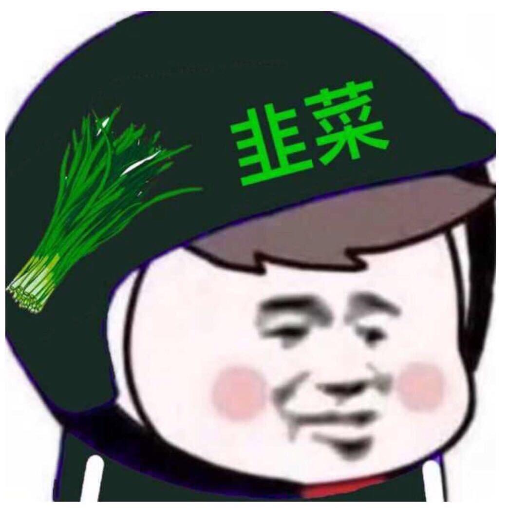 ✨ 🐬普贤骑白🐘🌞✨ º⁷º⁶