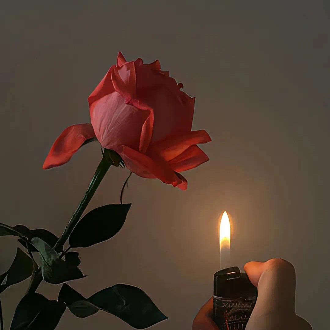 24。