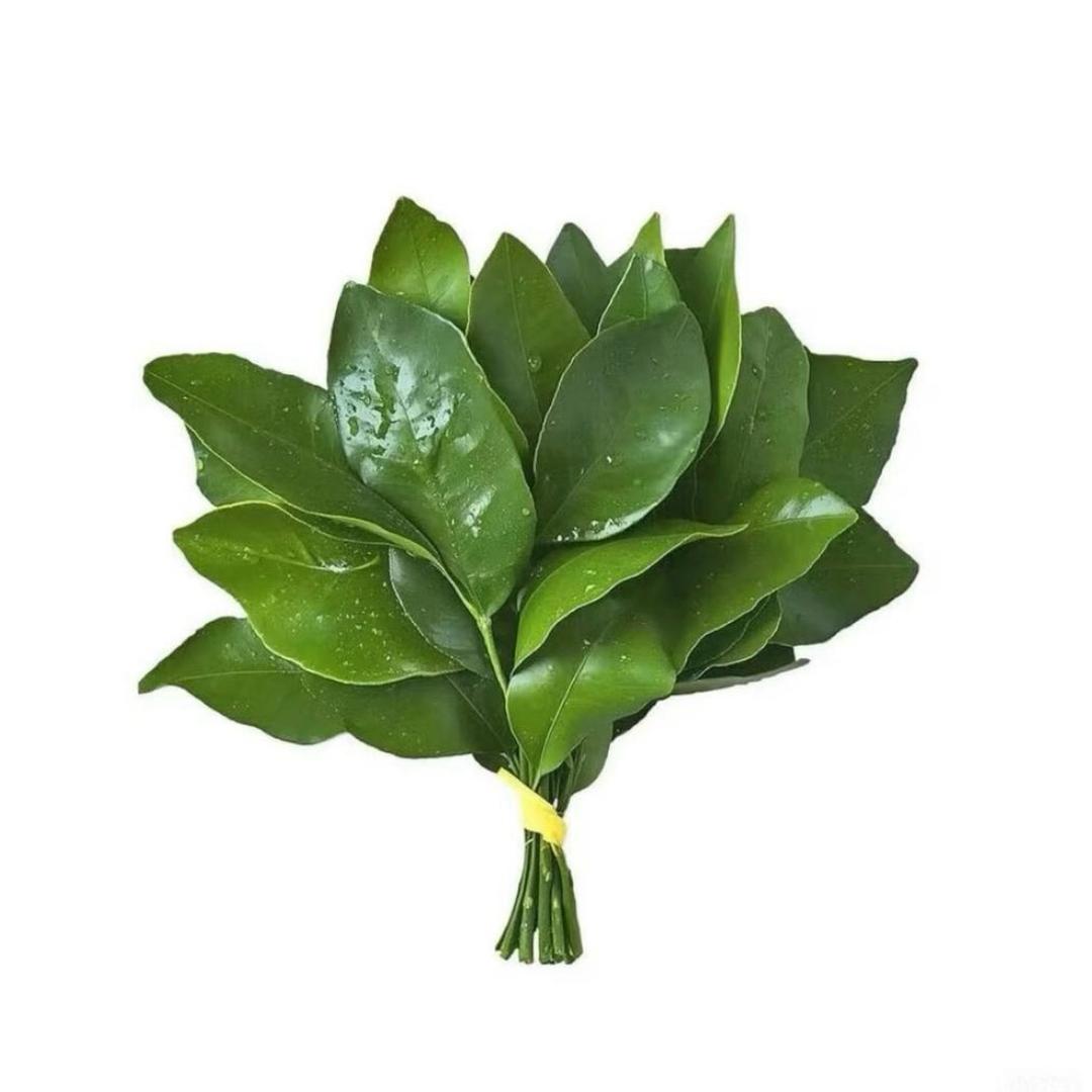 小鱼饼