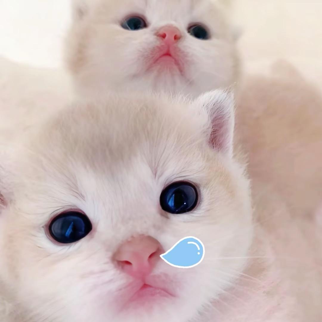 ㅤ。。。。。